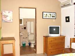 Green Forest of Coco Beach Studios