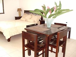 Green Forest of Coco Beach Studios