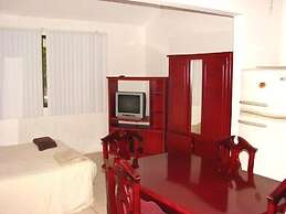 Green Forest of Coco Beach Studios