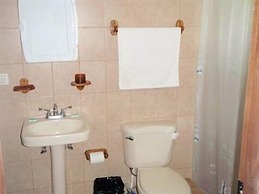 Green Forest of Coco Beach Studios