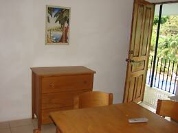 Green Forest of Coco Beach Studios