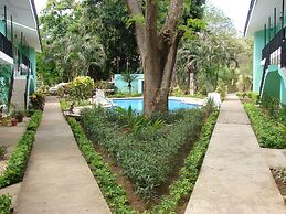 Green Forest of Coco Beach Studios