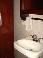 Green Forest of Coco Beach Studios