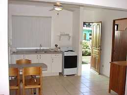 Green Forest of Coco Beach Studios