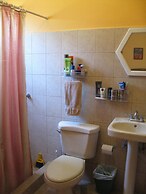 Green Forest of Coco Beach Studios