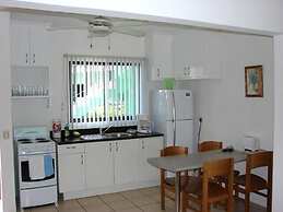 Green Forest of Coco Beach Studios