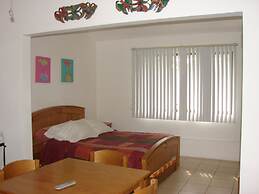 Green Forest of Coco Beach Studios