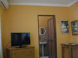 Green Forest of Coco Beach Studios