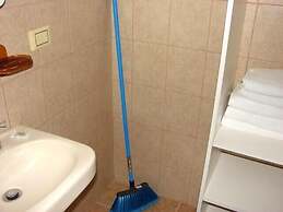 Green Forest of Coco Beach Studios