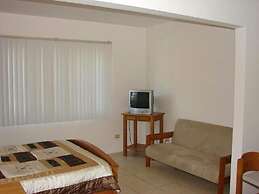 Green Forest of Coco Beach Studios