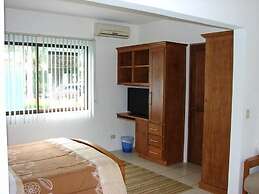 Green Forest of Coco Beach Studios