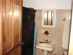 Green Forest of Coco Beach Studios