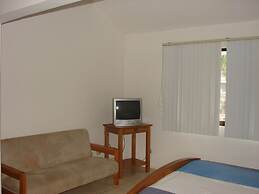 Green Forest of Coco Beach Studios