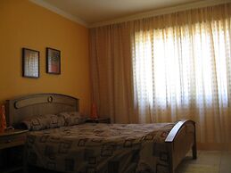 Green Forest of Coco Beach Studios