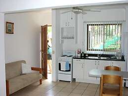 Green Forest of Coco Beach Studios