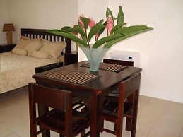 Green Forest of Coco Beach Studios