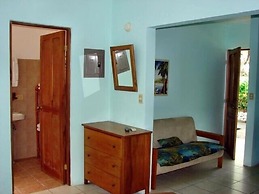 Green Forest of Coco Beach Studios