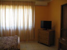 Green Forest of Coco Beach Studios