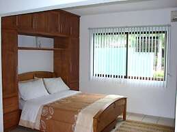 Green Forest of Coco Beach Studios