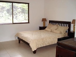 Green Forest of Coco Beach Studios