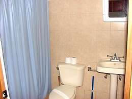 Green Forest of Coco Beach Studios