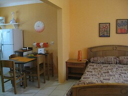 Green Forest of Coco Beach Studios