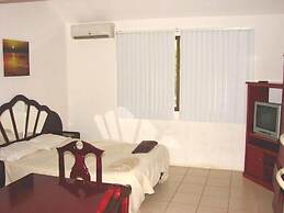 Green Forest of Coco Beach Studios