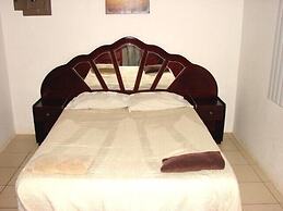 Green Forest of Coco Beach Studios