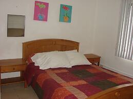 Green Forest of Coco Beach Studios