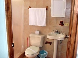 Green Forest of Coco Beach Studios