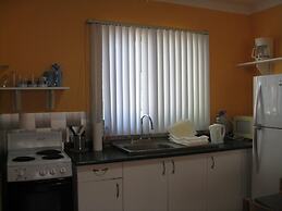 Green Forest of Coco Beach Studios