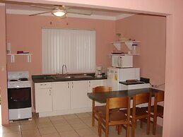 Green Forest of Coco Beach Studios