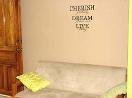 Green Forest of Coco Beach Studios