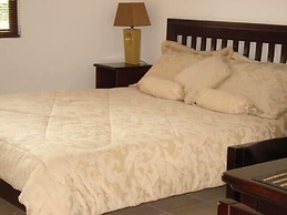 Green Forest of Coco Beach Studios