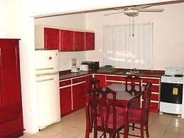 Green Forest of Coco Beach Studios