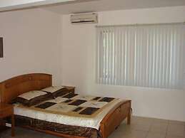 Green Forest of Coco Beach Studios