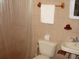 Green Forest of Coco Beach Studios