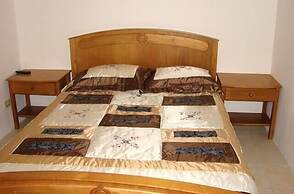 Green Forest of Coco Beach Studios