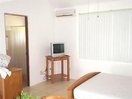 Green Forest of Coco Beach Studios