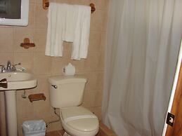 Green Forest of Coco Beach Studios