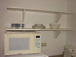 Green Forest of Coco Beach Studios