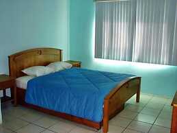 Green Forest of Coco Beach Studios