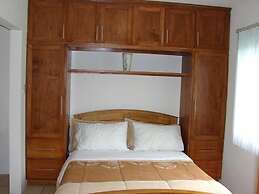 Green Forest of Coco Beach Studios