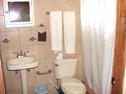 Green Forest of Coco Beach Studios