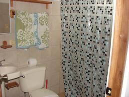 Green Forest of Coco Beach Studios