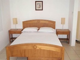 Green Forest of Coco Beach Studios