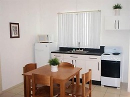 Green Forest of Coco Beach Studios