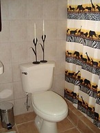 Green Forest of Coco Beach Studios