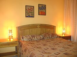 Green Forest of Coco Beach Studios