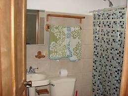 Green Forest of Coco Beach Studios